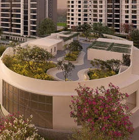rooftop garden